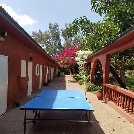 Bed and Breakfast Ferme Hippique Chtouka Dar Said Ben Hajj Экстерьер фото