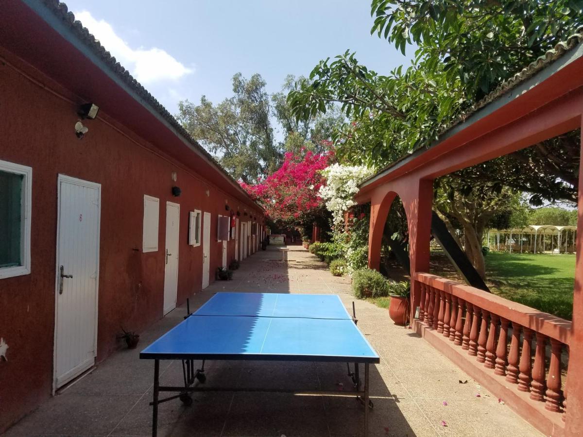 Bed and Breakfast Ferme Hippique Chtouka Dar Said Ben Hajj Экстерьер фото